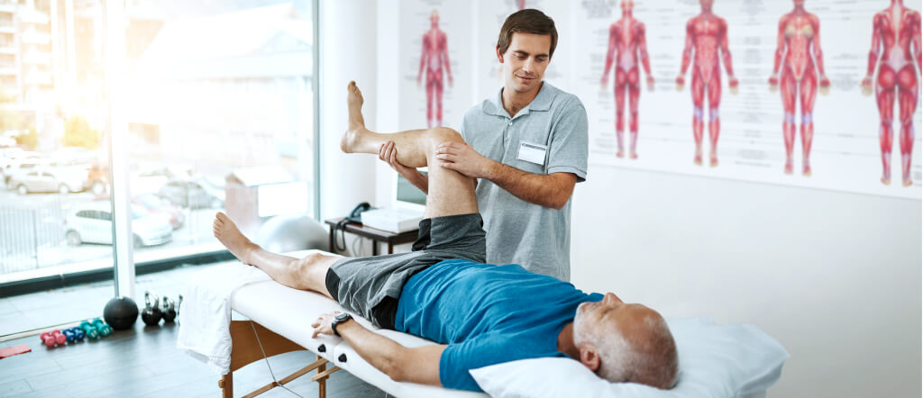 Discover the Link Between Chiropractic Care and Whole-Body Health