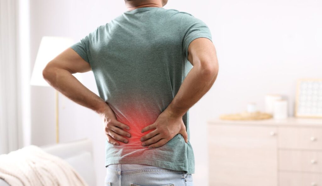 Healthy Spine, Healthy Life: Chiropractic Secrets for Pain-Free Living